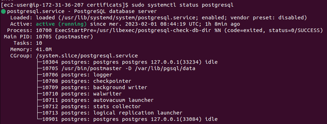 Postgres status check