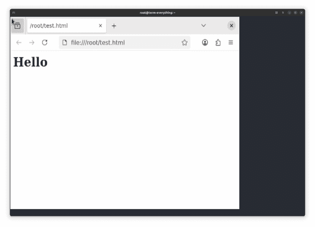 Firefox in terminal