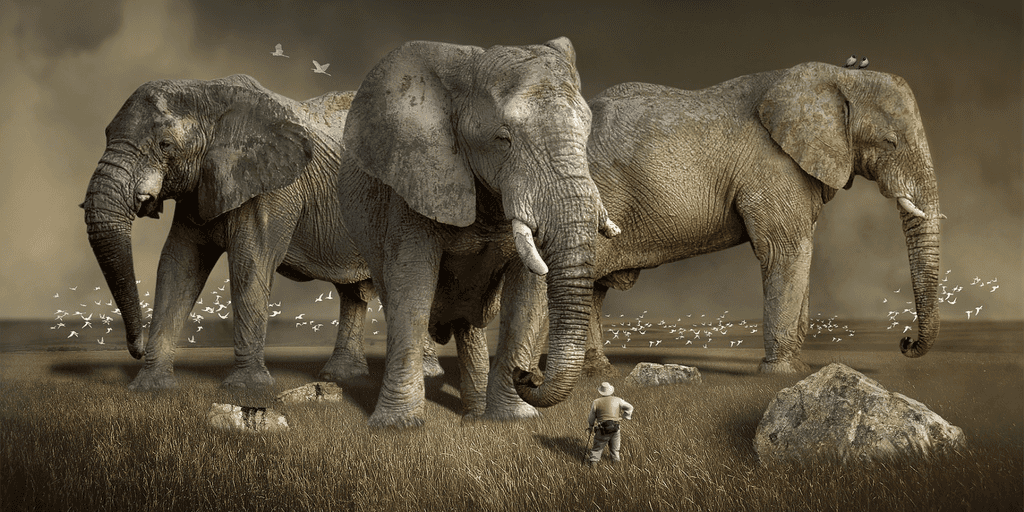 The state of Hadoop distributions The state of Hadoop distributions